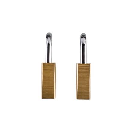 Squire LN4T Lion Range 40mm Solid Brass Twin Pack Padlocks - Keyed Alike