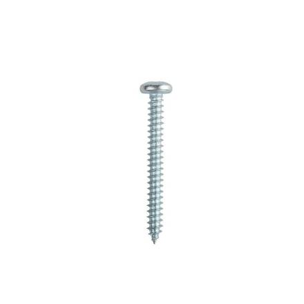 Pan Head Bright Zinc Plated Self-Tapping Screw 8 x 1"