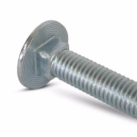 M10 x 200mm Bright Zinc Plated Cup Square Hex Coach Bolt and Nut